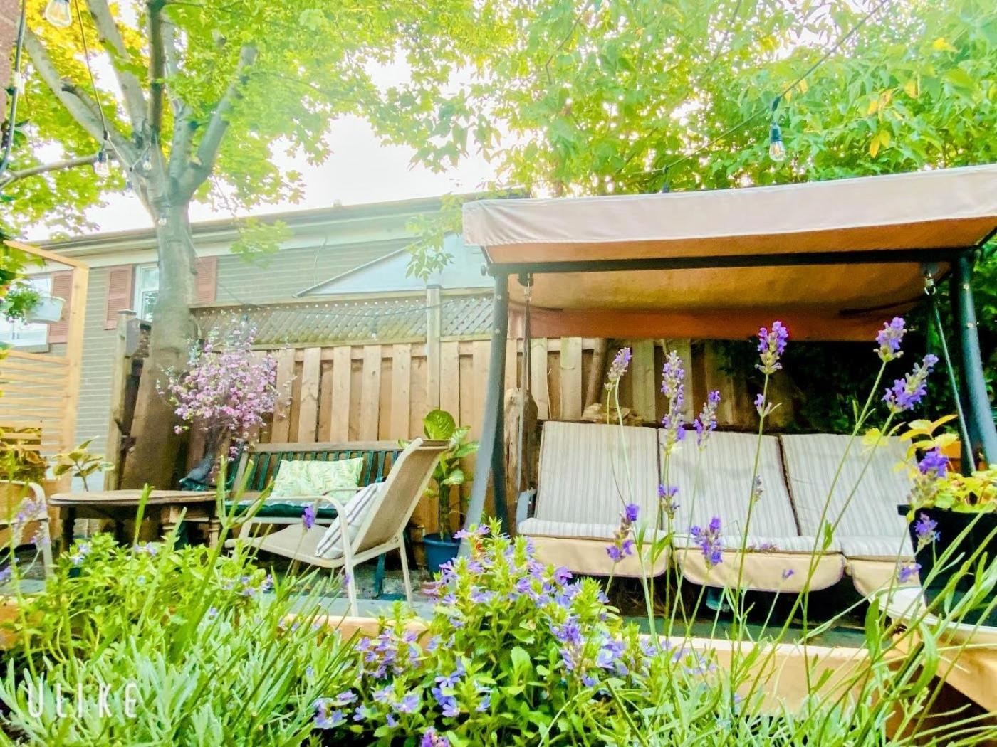 Toronto Bed & Breakfast - Free Parking Экстерьер фото