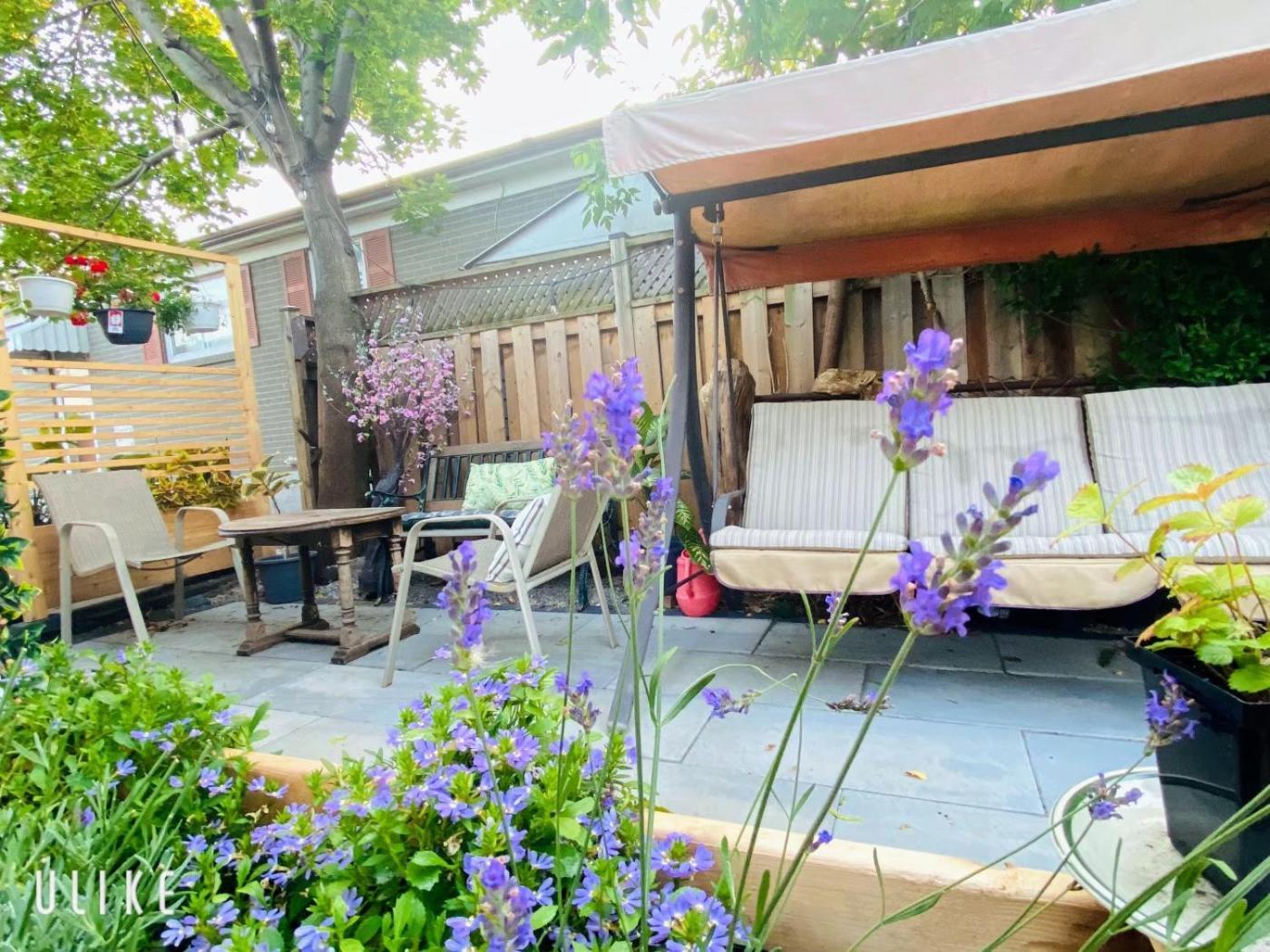 Toronto Bed & Breakfast - Free Parking Экстерьер фото