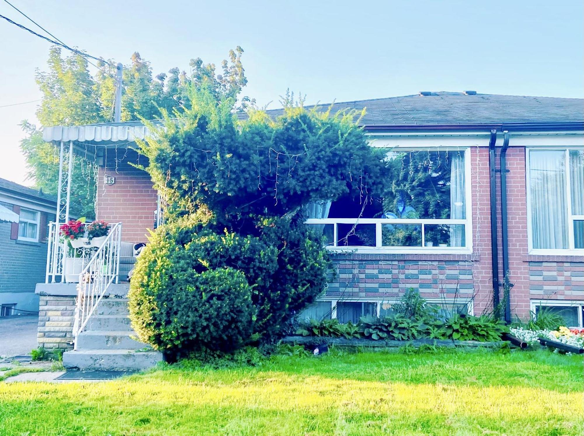 Toronto Bed & Breakfast - Free Parking Экстерьер фото